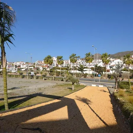 Royal Palm 20